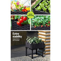 Home &amp; Garden > Garden Beds