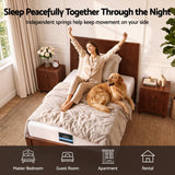 Giselle 25cm Single Hybrid Mattress Soft Knitted Fabric Edge Support Gel Foam