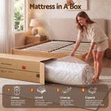 Giselle 30cm Queen Spring Mattress Tencel Cover 5-Zone Firm Back Support