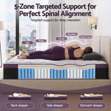 Giselle King Euro Top Mattress Firm Pocket Spring Edge Support In Australia - Darrahopens