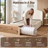 Giselle 20cm Firm Single Mattress Pocket Spring for Bedroom or Guest Room In Australia - Darrahopens