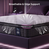 Levitex Queen Mattress 2 Rows Edge Support for Deep Sleep 5-Zone Ergonomic Pocket Spring Breathable Corrugated Sponge Medium Firm 30CM
