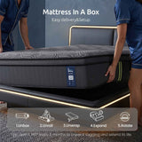 Levitex 34 cm Pocket Spring Mattress with Reinforced Edge Support & 5-Zone Pressure Relief Breathable Gel Memory Foam Hybrid Mattress for Back Pain Double