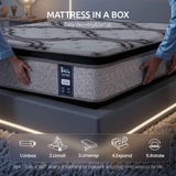 Levitex 5-Zone Pocket Spring Mattress with Latex & Memory Foam 7.5 Firm Hybrid Mattress for Extra Lumbar & Shoulder Support 34 cm Thickness Queen