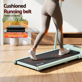 Everfit 3 in 1 Walking Pad Treadmill 12% Incline Foldable Under Desk Treadmills for Home 38cm Green