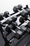 4 Pairs Hex Dumbbells PLUS Dumbbell Rack (100 kg | 5kg-20kg | 1.1m 3-tier Rack)