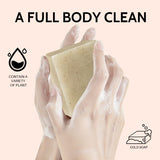 exfoliating soap, handmade soap set, lavender essential oil, rose essential oil, face and body soap, skin brightening, hyperpigmentation treatment, gentle facial scrub, spa gift set, Australian natural skincare - Rose - Size 6PCS