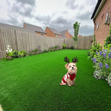 Green Artificial Turf Reusable Artificial Grass Pet Grass For Dogs 2cm Green Base