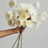 White Artificial Peonies Wedding Decorations Festival Decorations Valentine'S Day In Australia - Darrahopens