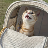White cat backpack carrier, pet travel carrier, breathable cat backpack, stylish cat carrier, cat supplies Australia, durable cat carrier, padded cat backpack