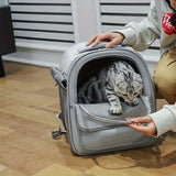 dog carrier backpack, pet transport, dog supplies, high-quality dog carrier, pet care, Australia, small dog carrier, medium dog carrier