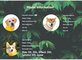 Waterproof Dog Poncho Reflective Dog Cape Dog Rainwear Pet Waterproof Clothing - Yellow - Size XL-6-8kg