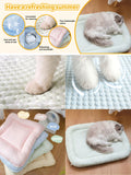 Blue Green orthopedic dog bed, memory foam dog bed, dog bed for medium dogs, comfortable dog bed, durable dog bed, joint support dog bed, Australian pet bed
