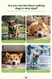 Dog Raincoat Shiba Inu Raincoat Corgi Raincoat Frog-Themed Dog Clothing - Green - Size XL-17-20kg In Australia - Darrahopens