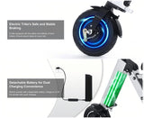 Foldable Electric Tricycle Lightweight Electric Scooter Home Electric Mobility - Silver - Size 36V8A250W
