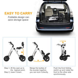 Foldable Electric Tricycle Lightweight Electric Scooter Home Electric Mobility - Silver - Size 36V8A250W