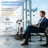 Foldable Electric Tricycle Lightweight Electric Scooter Home Electric Mobility - Silver - Size 36V8A250W