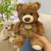 teddy bear, plush doll, soft toy, cuddly bear, boys birthday gift, claw machine prize, flower shop bear, huggable toy, beige teddy, brown teddy, stuffed animal, Australian toy - Dark Brown - Size 25CM