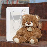 teddy bear, plush doll, soft toy, cuddly bear, boys birthday gift, claw machine prize, flower shop bear, huggable toy, beige teddy, brown teddy, stuffed animal, Australian toy - Light Brown - Size 20CM