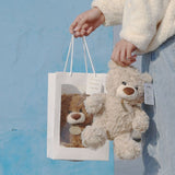teddy bear, plush doll, soft toy, cuddly bear, boys birthday gift, claw machine prize, flower shop bear, huggable toy, beige teddy, brown teddy, stuffed animal, Australian toy - Light Brown - Size 25CM