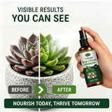 Green White Foliage Spray Plant Care Leaf Brightening Yellow Leaf Remover Dusting Spray In Australia - Darrahopens