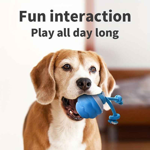Blue Dog Toy Interactive Dog Toy Dog Ball Toy Dog Toy With Rope Pet Toy Dog Play Toy