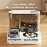 Gray Green Automatic Cat Feeder Cat Water Dispenser Cat Feeding Set Cat Supplies Cat Care In Australia - Darrahopens