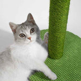 Green Black Cat Scratching Post Cactus Cat Toy Cat Furniture Cat Scratcher Cat Claw Care In Australia - Darrahopens