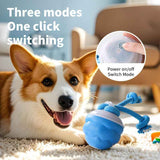 Blue Dog Toy Interactive Dog Toy Dog Ball Toy Dog Toy With Rope Pet Toy Dog Play Toy In Australia - Darrahopens