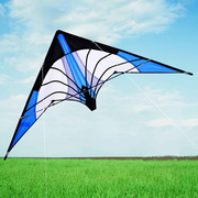 1.2-meter double-line stunt kite, lightning kite, Weifang kite, multi-line sport kite, suitable for 14+, line board color random In Australia - Darrahopens