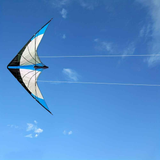 1.2-meter double-line stunt kite, lightning kite, Weifang kite, multi-line sport kite, suitable for 14+, line board color random In Australia - Darrahopens