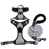 Anti-escape dog harness & leash, soft and comfortable breathable dog vest, reflective in the night, suitable for walking medium and large dogs.
