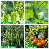 2Pack Garden Trellis Netting for Climbing Plants Outdoor Heavy Duty 27 Strands & 4x4 Inch Mesh Plant Climbing Net Strong Support for Clematis Tomatoes Cucumber Vine Plants 5.9x11.8FT - Green