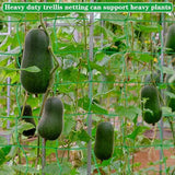 4Pack Garden Trellis Netting for Climbing Plants Outdoor Heavy Duty 27 Strands & 4x4 Inch Mesh Plant Climbing Net Strong Support for Clematis Tomatoes Cucumber Vine Plants 5.9x11.8FT - Green