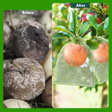 9*12cm 100PCS Fruit Protection Bags Green Netting Drawstring Mesh Cover, Pest Barrier for Tomato, Fruits, Blueberry, Veggies Garden - White - Size 9*12cm