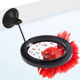 Betta Feeding Ring, Prevent Water Turbulence from Washing Food into Filter, Practical Round Floating Food, Suitable for Guppy, Goldfish and Other Small Fish (5 Pc) In Australia - Darrahopens