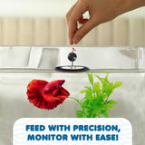 Betta Feeding Ring, Prevent Water Turbulence from Washing Food into Filter, Practical Round Floating Food, Suitable for Guppy, Goldfish and Other Small Fish (5 Pc)