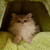 Winter Warm Cats Bed Cartoon Theme Design Highly Density Removable Cover Shelter House Rest Bed for Small Breeds Winter Warm Cats House - Yellow - Size 45cm*40cm