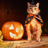 Halloween Cat Costume Cloak Witch Hat Pet Accessories Halloween Adjustable Pumpkin Pet Costumes Clothes Set, Halloween pet Costume Decor Cloak for Cats Dogs Puppy Halloween Carnival Party Supplies In Australia - Darrahopens