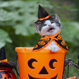 Halloween Cat Costume Cloak Witch Hat Pet Accessories Halloween Adjustable Pumpkin Pet Costumes Clothes Set, Halloween pet Costume Decor Cloak for Cats Dogs Puppy Halloween Carnival Party Supplies