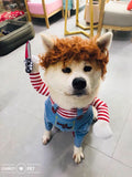 Pet Deadly Doll Dog Costume, Cosplay Halloween Christmas Funny Clothes Party Costume for Small Medium and Large Dogs - Blue - Size M
