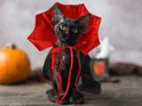 Halloween Cat Vampire Cloak Costume Adjustable Red Black Pet Cape Costume Clothes, Halloween Pet Accessories Costumes Outfit Decor Cowl for Small Cats Dogs Animals Halloween Party pet Cosplay