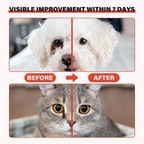 Tear Stain Remover Kit for Dogs & Cats with Tear Stain Comb, Tear Stain Balm, Eye Cotton Pads, Pro Powder Brush Gently Remove Tear Stain, Eye Debris, Discharge, Mucus Secretions In Australia - Darrahopens