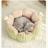 Cactus Cat Beds for Indoor Cute Cactus Fluffy Puppy Bed Squishmall Pet Bed with Removable & Washable Cushion Pillow Cat House Bed Warm Sleeping Bed for Cats Small Dogs - Green - Size 45cm In Australia - Darrahopens
