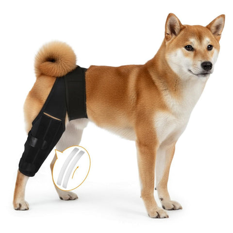 Knee Brace for Torn ACL CCL, Support Brace with Back Strap to Prevent Slipping, Hind Leg Support for Dog Joint Pain Recovery， Luxating Patella, Fits Small Medium Large Dogs - Black - Size XL In Australia - Darrahopens