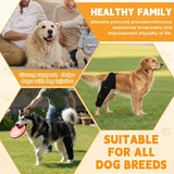Knee Brace for Torn ACL CCL, Support Brace with Back Strap to Prevent Slipping, Hind Leg Support for Dog Joint Pain Recovery， Luxating Patella, Fits Small Medium Large Dogs - Black - Size XL In Australia - Darrahopens