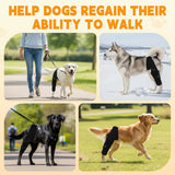 Knee Brace for Torn ACL CCL, Support Brace with Back Strap to Prevent Slipping, Hind Leg Support for Dog Joint Pain Recovery， Luxating Patella, Fits Small Medium Large Dogs - Black - Size XL