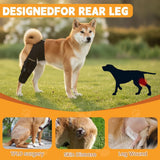 Knee Brace for Torn ACL CCL, Support Brace with Back Strap to Prevent Slipping, Hind Leg Support for Dog Joint Pain Recovery， Luxating Patella, Fits Small Medium Large Dogs - Black - Size XL