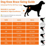 Knee Brace for Torn ACL CCL, Support Brace with Back Strap to Prevent Slipping, Hind Leg Support for Dog Joint Pain Recovery， Luxating Patella, Fits Small Medium Large Dogs - Black - Size XL