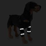 Dog Canine Shoulder Brace with Reflective Stripes Front Leg Elbow Protector for Arthritis Recovery Wounds Healing Prevents Injuries Sprains, Neoprene Sport Protect Joint Wrap - Blue - Size M